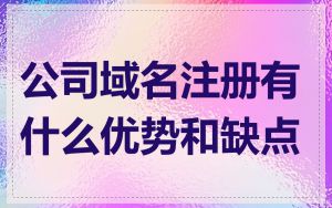 公司域名注册有什么优势和缺点
