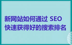 新网站如何通过 SEO 快速获得好的搜索排名