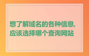 想了解域名的各种信息,应该选择哪个查询网站