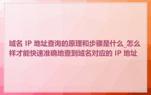 域名 IP 地址查询的原理和步骤是什么_怎么样才能快速准确地查到域名对应的 IP 地址