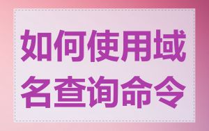 如何使用域名查询命令