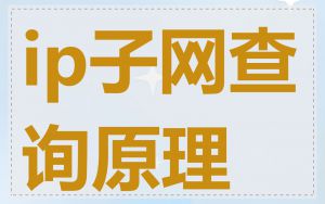 ip子网查询原理