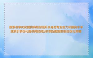 搜索引擎优化提供商如何提升自身的专业能力和服务水平_搜索引擎优化提供商如何分析网站数据和制定优化策略