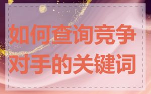 如何查询竞争对手的关键词