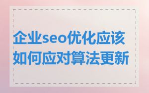 企业seo优化应该如何应对算法更新