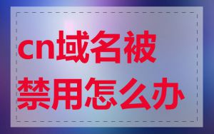 cn域名被禁用怎么办