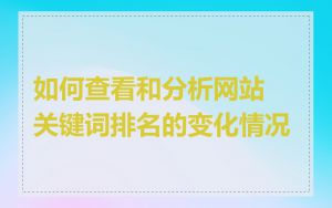 如何查看和分析网站关键词排名的变化情况