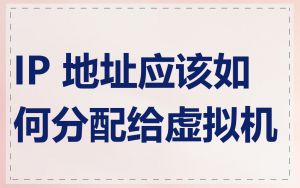IP 地址应该如何分配给虚拟机