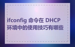 ifconfig 命令在 DHCP 环境中的使用技巧有哪些