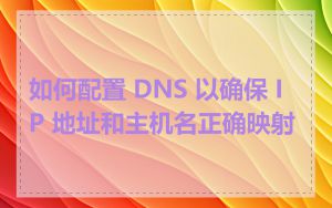 如何配置 DNS 以确保 IP 地址和主机名正确映射