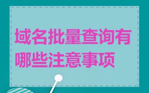 域名批量查询有哪些注意事项