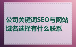 公司关键词SEO与网站域名选择有什么联系