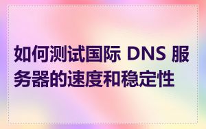 如何测试国际 DNS 服务器的速度和稳定性