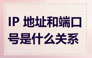 IP 地址和端口号是什么关系
