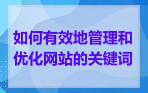 如何有效地管理和优化网站的关键词