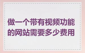 做一个带有视频功能的网站需要多少费用