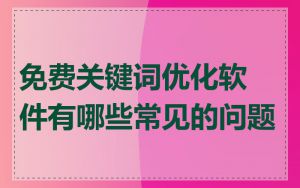 免费关键词优化软件有哪些常见的问题