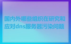 国内外哪些组织在研究和应对dns服务器污染问题