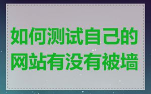 如何测试自己的网站有没有被墙
