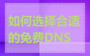 如何选择合适的免费DNS