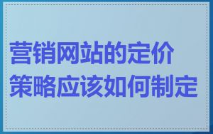 营销网站的定价策略应该如何制定