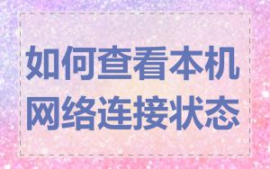 如何查看本机网络连接状态