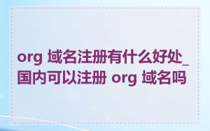 org 域名注册有什么好处_国内可以注册 org 域名吗