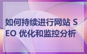 如何持续进行网站 SEO 优化和监控分析