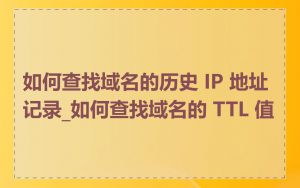 如何查找域名的历史 IP 地址记录_如何查找域名的 TTL 值