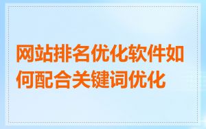网站排名优化软件如何配合关键词优化