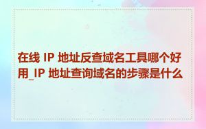 在线 IP 地址反查域名工具哪个好用_IP 地址查询域名的步骤是什么