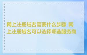 网上注册域名需要什么步骤_网上注册域名可以选择哪些服务商