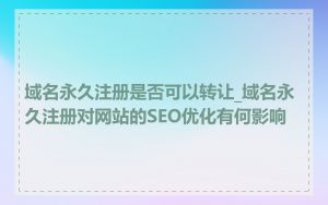 域名永久注册是否可以转让_域名永久注册对网站的SEO优化有何影响