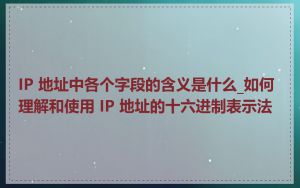 IP 地址中各个字段的含义是什么_如何理解和使用 IP 地址的十六进制表示法