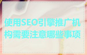 使用SEO引擎推广机构需要注意哪些事项