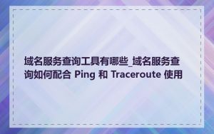 域名服务查询工具有哪些_域名服务查询如何配合 Ping 和 Traceroute 使用