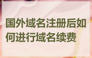 国外域名注册后如何进行域名续费
