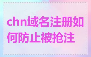 chn域名注册如何防止被抢注