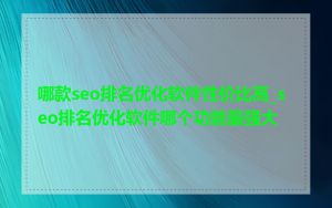 哪款seo排名优化软件性价比高_seo排名优化软件哪个功能最强大