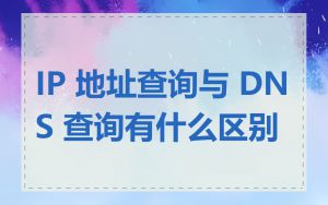 IP 地址查询与 DNS 查询有什么区别