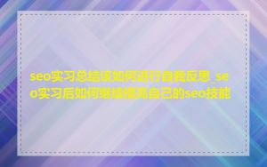 seo实习总结该如何进行自我反思_seo实习后如何继续提高自己的seo技能