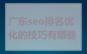 广东seo排名优化的技巧有哪些