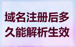 域名注册后多久能解析生效