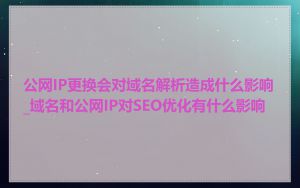 公网IP更换会对域名解析造成什么影响_域名和公网IP对SEO优化有什么影响