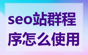 seo站群程序怎么使用