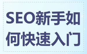 SEO新手如何快速入门