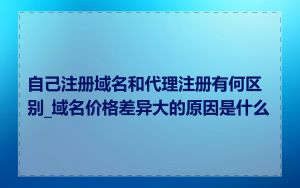 自己注册域名和代理注册有何区别_域名价格差异大的原因是什么