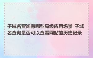 子域名查询有哪些高级应用场景_子域名查询是否可以查看网站的历史记录