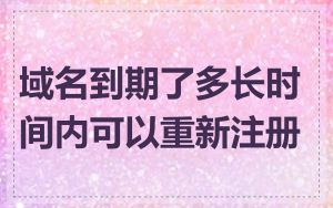 域名到期了多长时间内可以重新注册