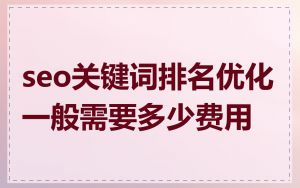 seo关键词排名优化一般需要多少费用